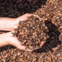 DSC04594@0.5x-scaled