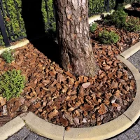 IMG_20230521_094151-scaled