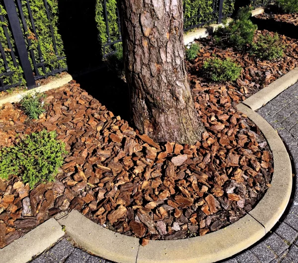 IMG_20230521_094151-scaled