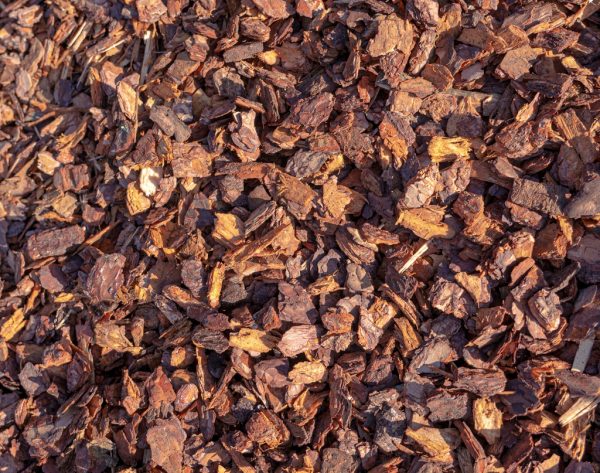 Bark Mulch 20-40mm DECOARTIVE Decorative bark mulch 20-40mm applied in a garden bed around shrubs, offering moisture retention and aesthetic appeal.