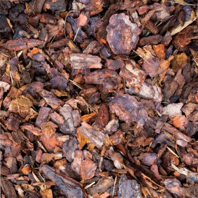 Bark mulch Coarse BASTEJI Pine Bark mulch coarse 30-75mm