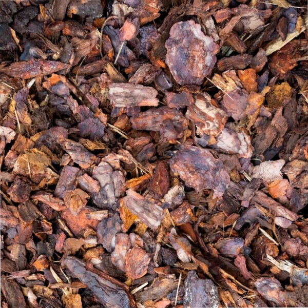 Bark mulch Coarse BASTEJI Pine Bark mulch coarse 30-75mm