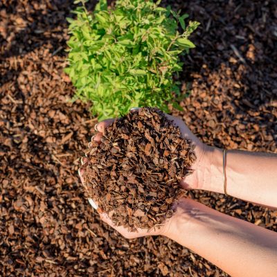 Roses mulch 5-15mm Pine Bark mulch 5-15mm for Roses