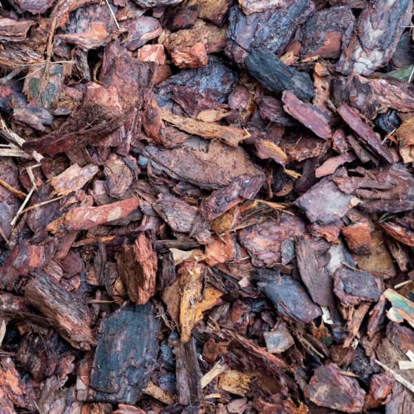 Coarse Pine Bark Mulch 30-75mm Coarse Bark Mulch 30-75mm BASTEJI